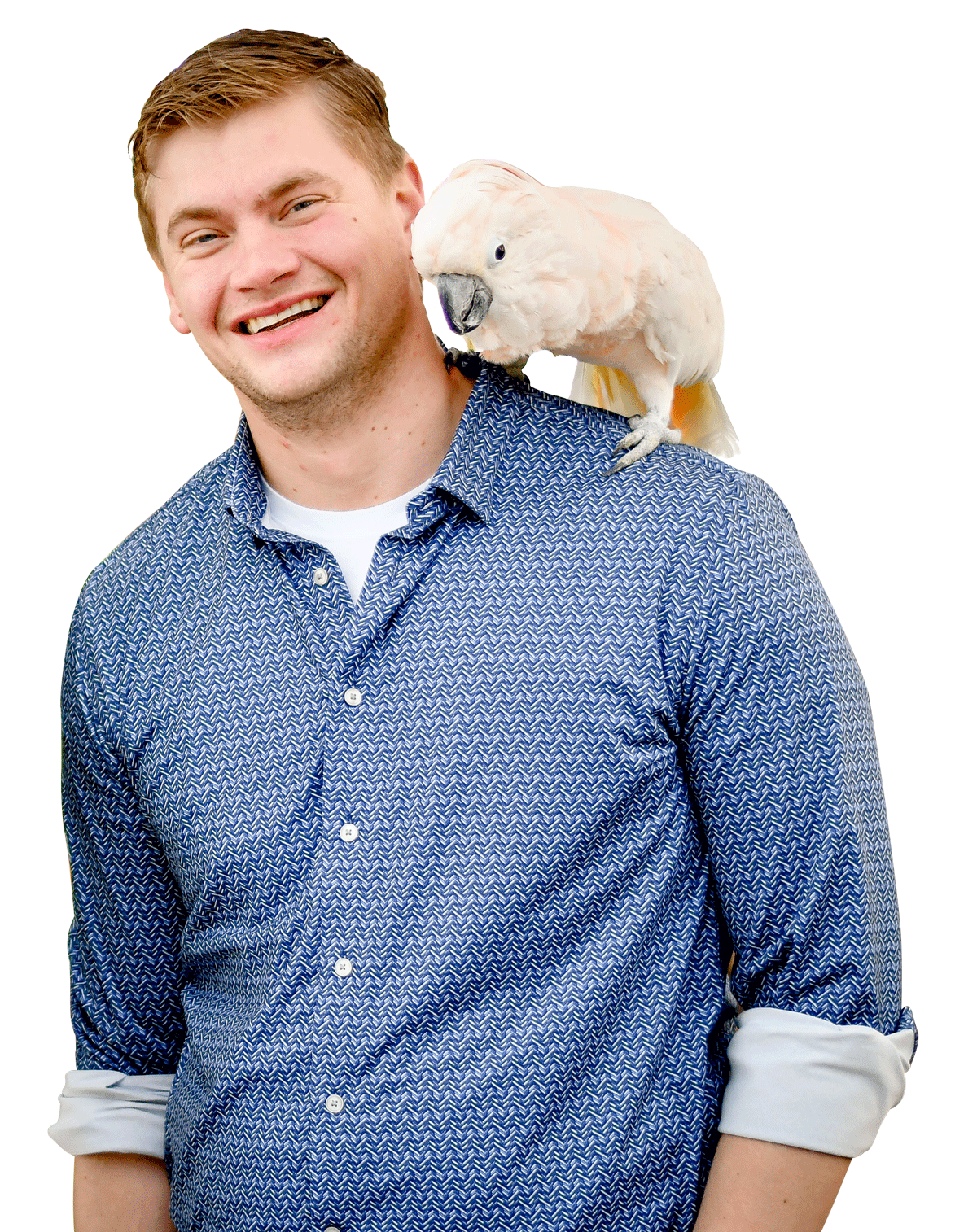 Home | Southpaw Veterinary Clinic Home | Southpaw Veterinary Clinic