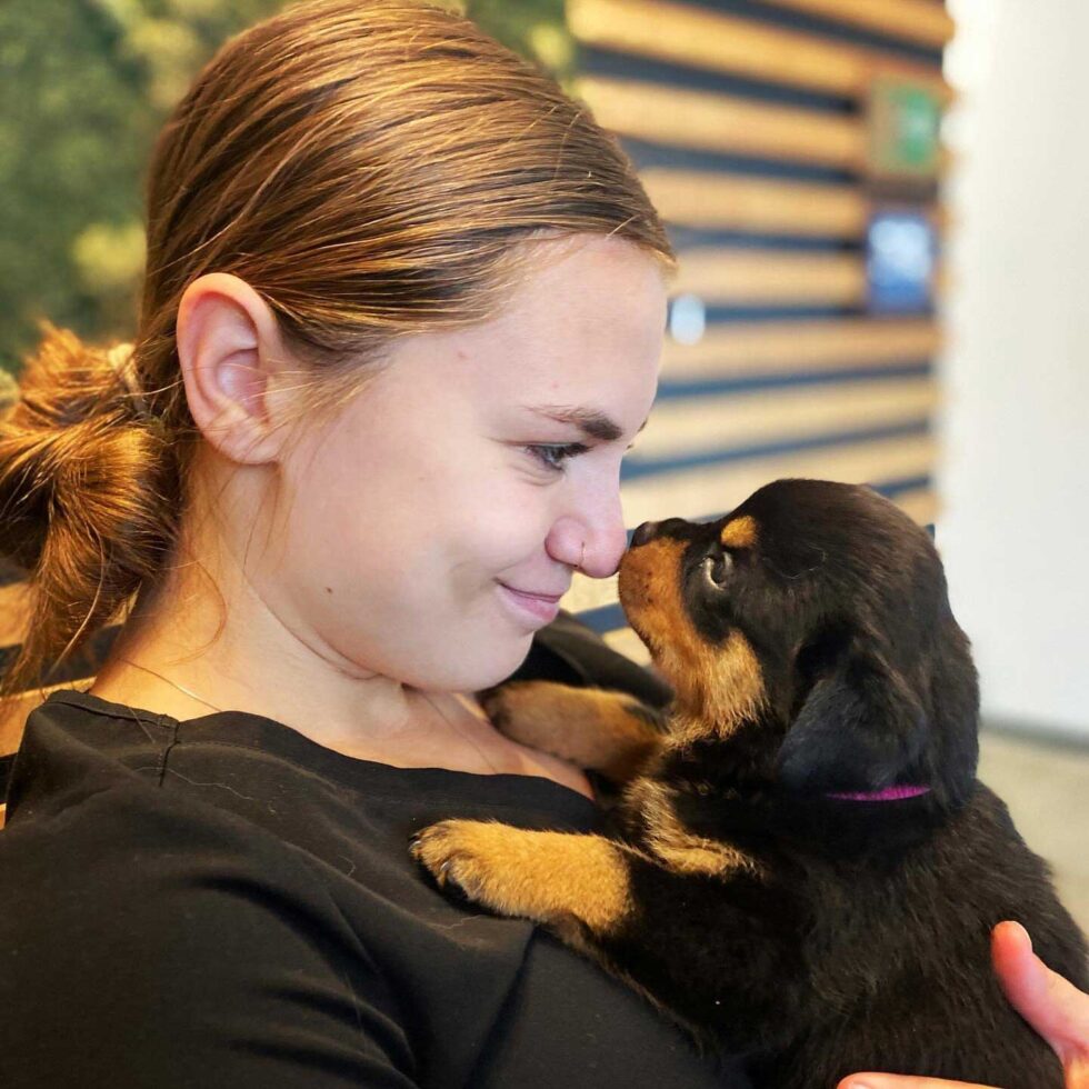 Southpaw Veterinary Clinic and Emergency Care