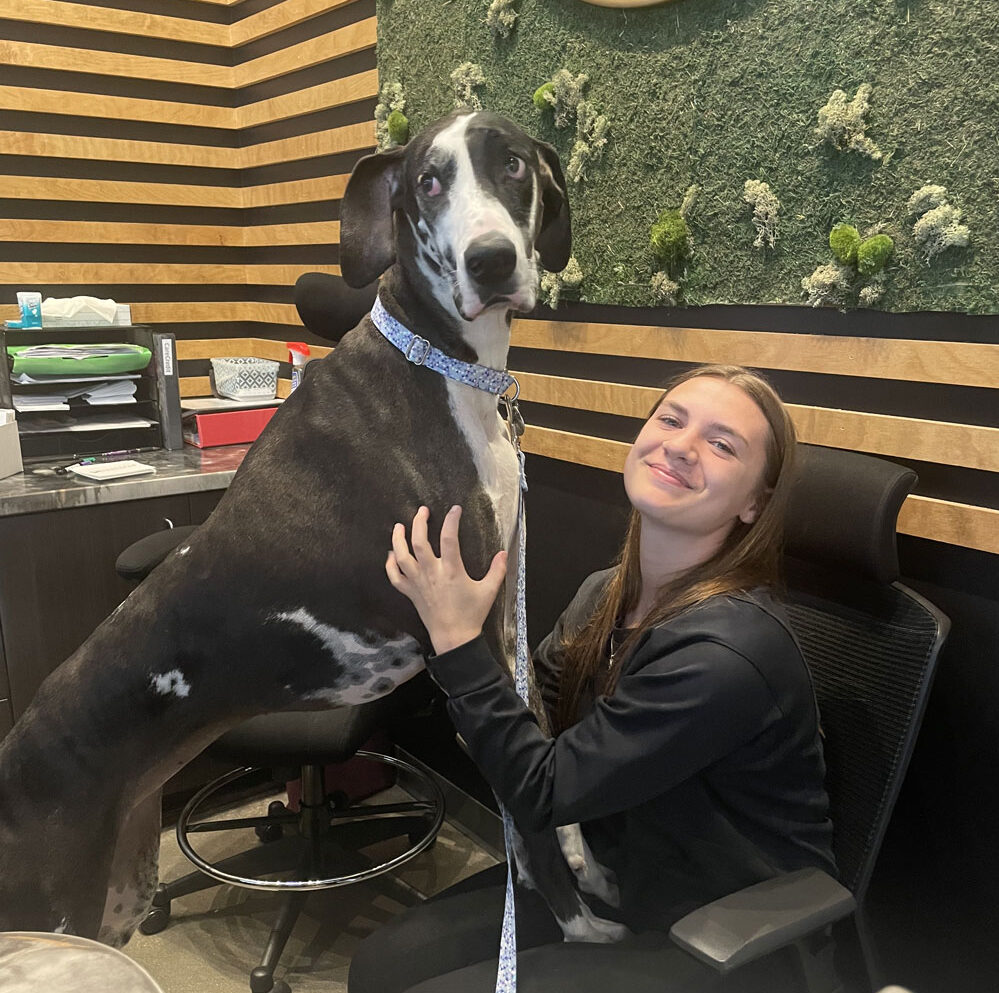 front desk receptionists taking calls at front desk